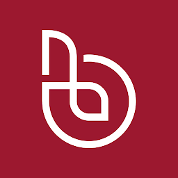 Mobe Pro: Download & Review