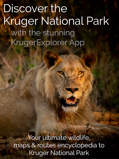 KrugerExplorer screenshot 17