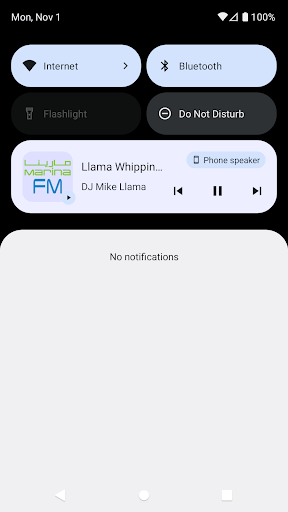 Kuwait Radio Stations Screen 3