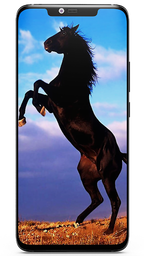 Wild & Exotic Animal Wallpaper Screen 2