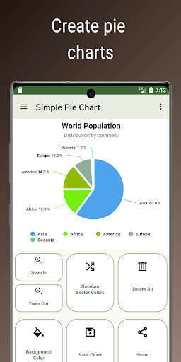 Simple Pie Chart Screen 2