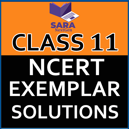 Ncert Exemplar Class 11 Books Download on Windows