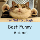 Best Funny Videos 2017 icon