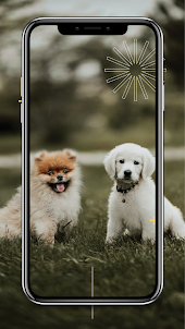 Dogs Live Wallpapers