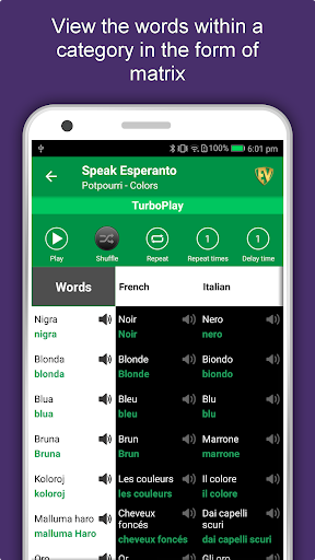 Screenshot of Learn Esperanto Language App