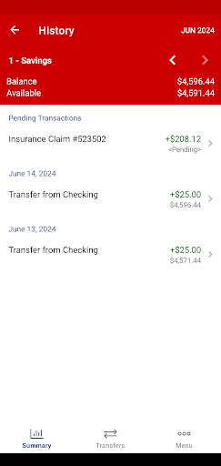 Police Credit Union Screen 3