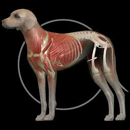 「Dog Anatomy: Canine 3D」のアイコン画像