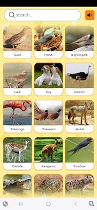 Real Animal sounds 5