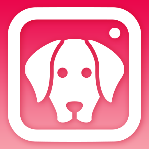 DogCam - Dog Selfie Filters an