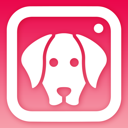 Dog 2024 face camera
