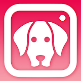 DogCam - Dog Selfie Filters and Camera icon