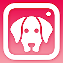 DogCam - الكلب سيلفي مرشحات وا 