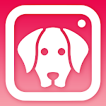 DogCam - Dog Selfie Filters and Camera Apk