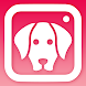 DogCam - Dog Selfie Filters an - Androidアプリ