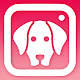 DogCam - Dog Selfie Filters and Camera Unduh di Windows