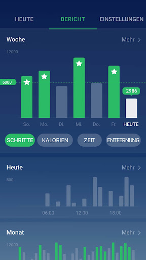 Schrittzähler - Pedometer