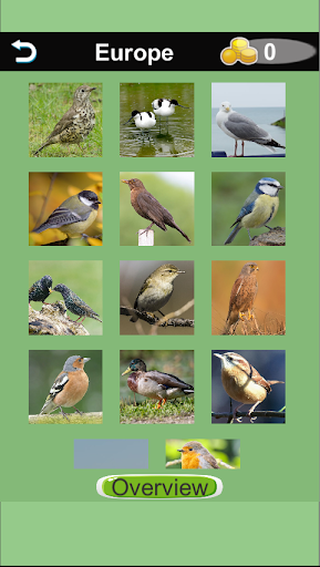 Bird Quiz Screen 3