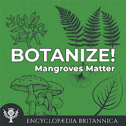 Icon image Mangroves Matter