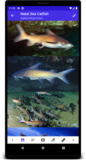 Marine Fish Guide Screen 3