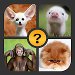 Cover Image of 下载 4 Pics 1 Word  APK