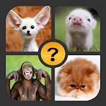 4 Pics 1 Word Apk