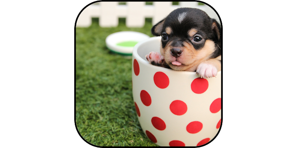 かわいい犬の壁紙と背景 Google Play のアプリ