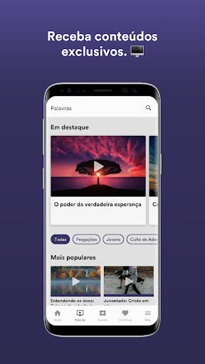 MVN - Palmito Screen 2
