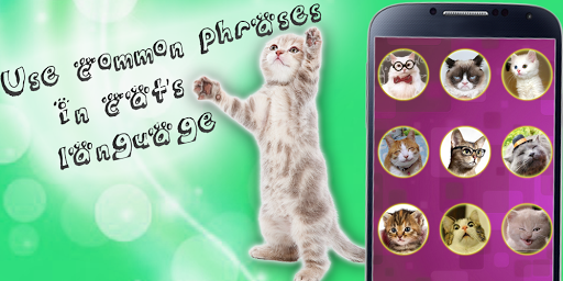 Translator for cats joke! Screen 2