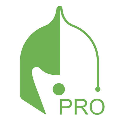 Akeyless Pro logo