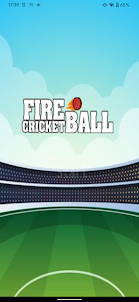 Fire Cricket Ball
