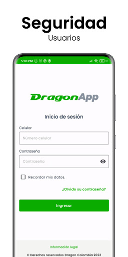 Dragon Driver Screen 2