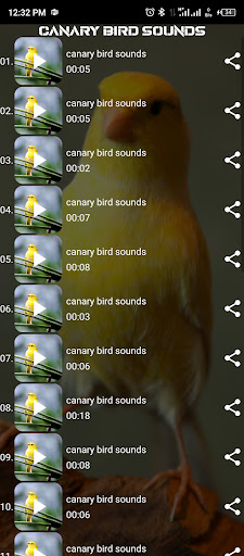 canary bird sounds Screen 2