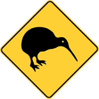 Kiwi Bug