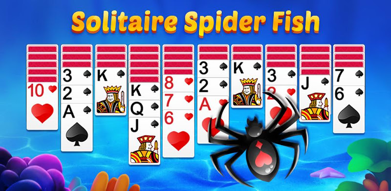 Solitaire Spider Ikan