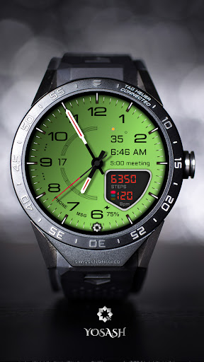D355 Watch Face Screen 2