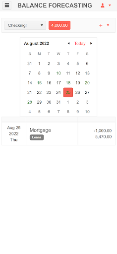 Balance Forecasting - Cashflow Screen 3