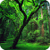 Amazon Forest Live Wallpaper icon