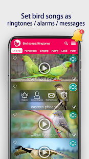 Bird Songs: Ringtones Screenshot