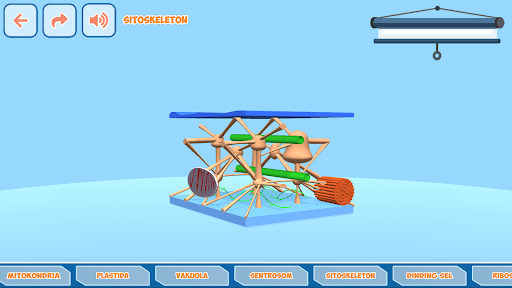 Sel Biologi 3D Struktur Screen 2