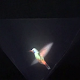 Vyomy 3D Hologram Hummingbird Download on Windows