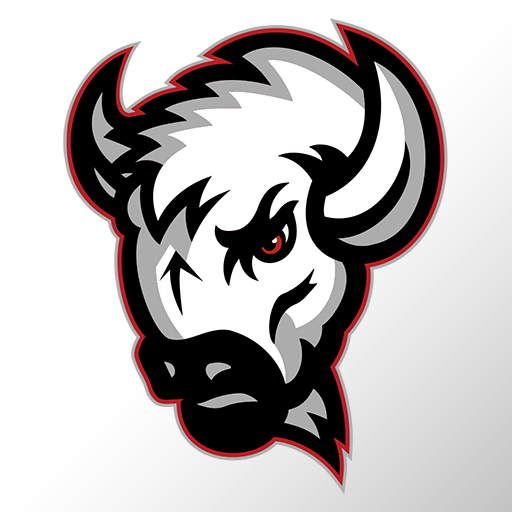 Dallas County School District logo