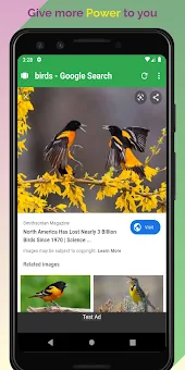 tor Browser〜高速で安全なブラウザ screenshot 4