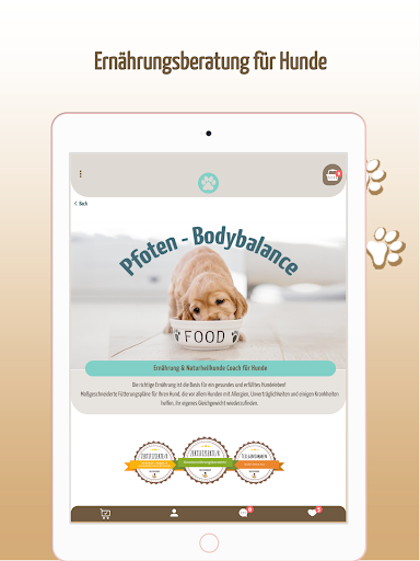 Hunde Pfoten Balance