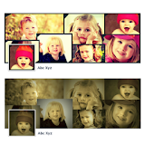 Template Wrens - CoverPro icon