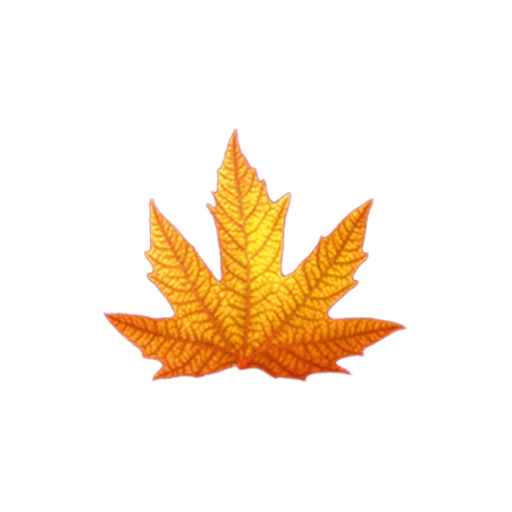 Elçi Bina Yönetimi logo