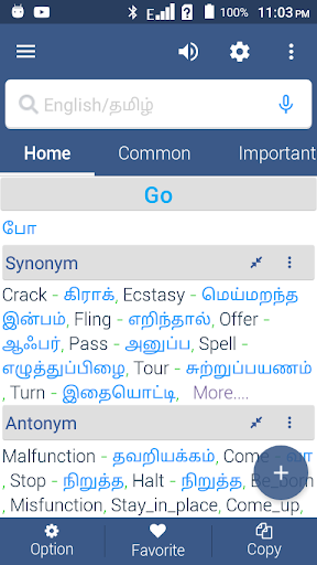 English to Tamil Dictionary Screen 3
