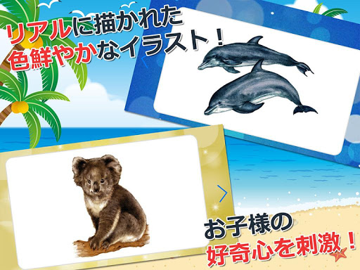 Download みんなの生き物カード図鑑 幼児 子供向け 教育 英語 Free For Android みんなの生き物カード図鑑 幼児 子供向け 教育 英語 Apk Download Steprimo Com