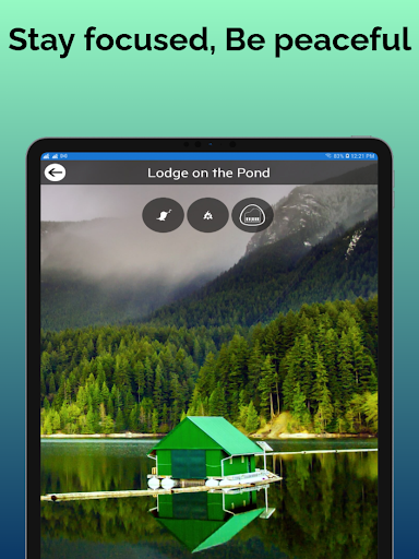 Relaxing Forest Sounds