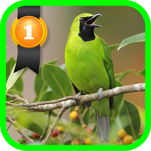 Greater Green Leafbird  Icon