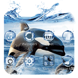Dolphin theme icon
